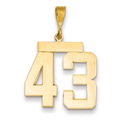 Number 43 Charm 14k Gold Large Polished LP43, MPN: LP43, 883957067179