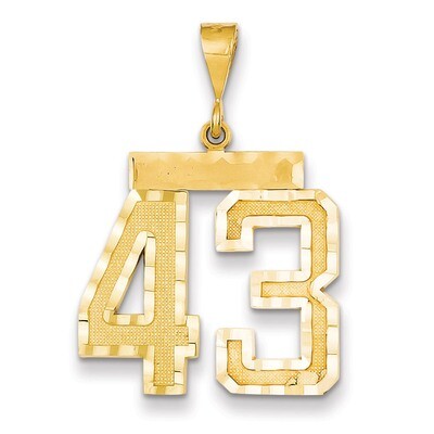 Number 43 Charm 14k Gold Large Diamond-cut LN43, MPN: LN43, 883957122342