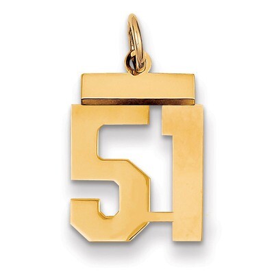 Number 51 Charm 14k Gold Small Polished LS51, MPN: LS51, 883957033709