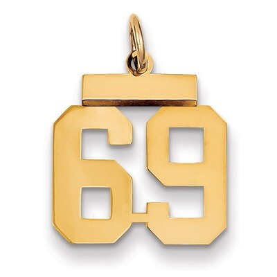 Number 69 Charm 14k Gold Small Polished LS69, MPN: LS69, 883957033938