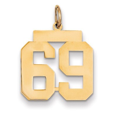 Number 69 Charm 14k Gold Medium Polished LM69, MPN: LM69, 883957135854