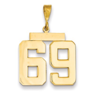 Number 69 Charm 14k Gold Large Polished LP69, MPN: LP69, 883957067735