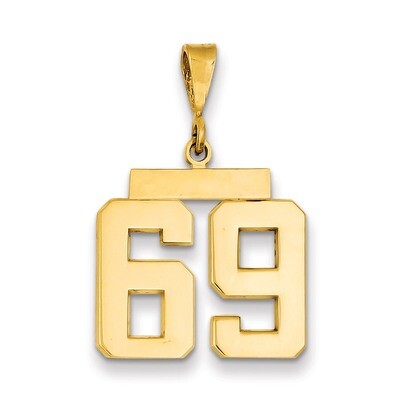 Number 69 Charm 14k Gold Medium Polished MP69, MPN: MP69, 883957135632