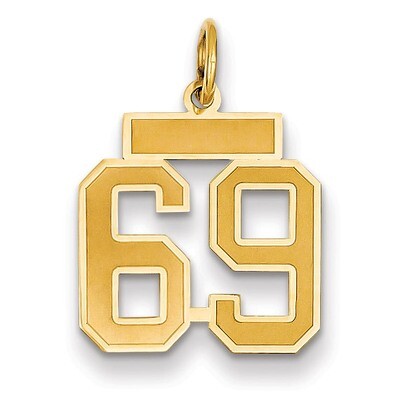 Number 69 Charm 14k Gold Small Satin  LSS69, MPN: LSS69, 883957069982