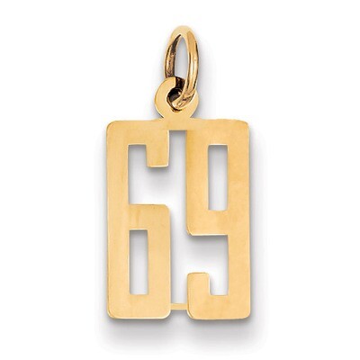 Number 69 Charm 14k Gold Small Polished Elongated LES69, MPN: LES69, 883957132747