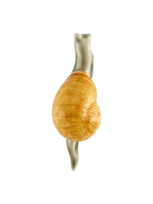Bordallo Pinheiro Pinheiro Magnets Small snail Decorated 65021014, MPN: 65021014, 5600413607640