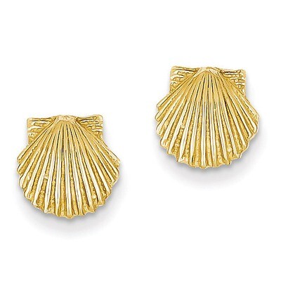 Scallop Shell Post Earrings 14k Gold TC569, MPN: TC569, 637218068906