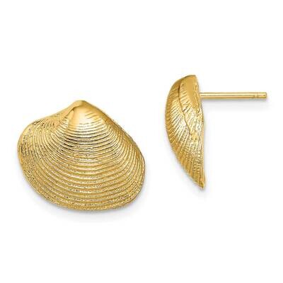 Clam Shell Post Earrings 14k Gold TE786, MPN: TE786, 637218038787