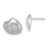 Clam Shell Post Earrings 14k White Gold TE787W, MPN: TE787W, 883957983530