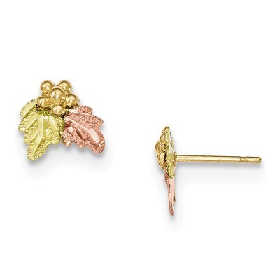 Black Hills Gold Post Earrings 10k Tri-color 10BH644, MPN: 10BH644, 31902618598