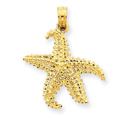 Open-Backed Starfish Pendant 14k Gold Polished C2538, MPN: C2538, 637218011759