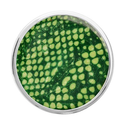 Nikki Lissoni Green Snake Print Silver-Plated 33mm Coin C1301SM, MPN: C1301SM, 8718627467947