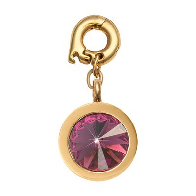 Nikki Lissoni February Charm with A Purple Amethyst Swarovski Stone Gold-Plated 15mm D1165GS, MPN: …