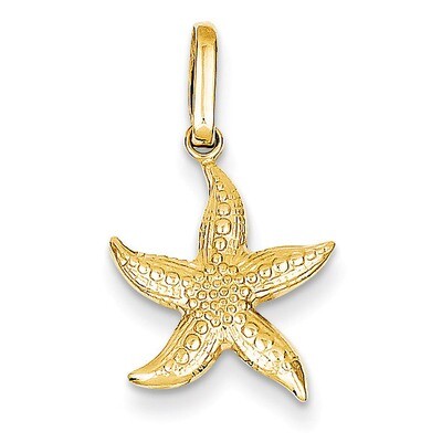 Textured Hollow Starfish Pendant 14k Gold YC1111, MPN: YC1111, 869786079521