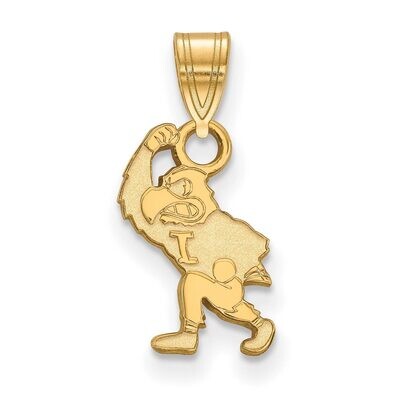 University of Iowa Small Pendant Gold-plated Silver GP076UIA, MPN: GP076UIA, 886774955056