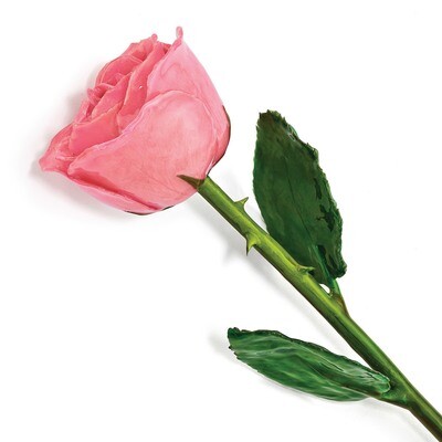 Lacquer Dipped Natural Pink Rose with Green Leaves &amp; Stem GM13074, MPN: GM13074, 812465020512