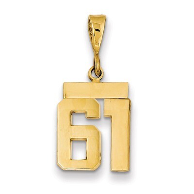 Number 61 Charm 14k Gold Small Polished SP61, MPN: SP61, 883957141381
