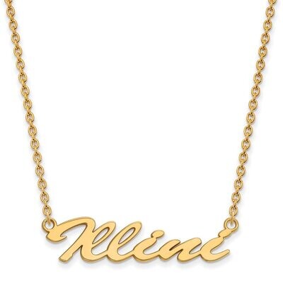 University of Illinois Medium Pendant with Chain Necklace Gold-plated Silver GP068UIL-18, MPN: GP06…