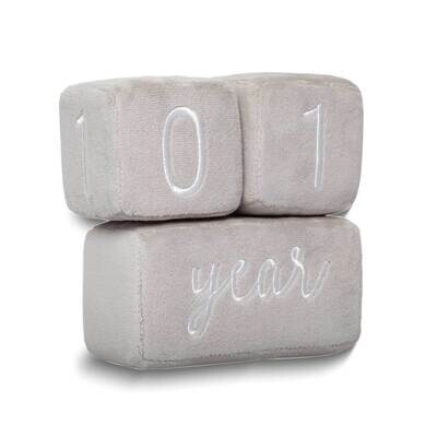 Monthly Plush Baby Age Milestone Blocks GM25023, MPN: GM25023,