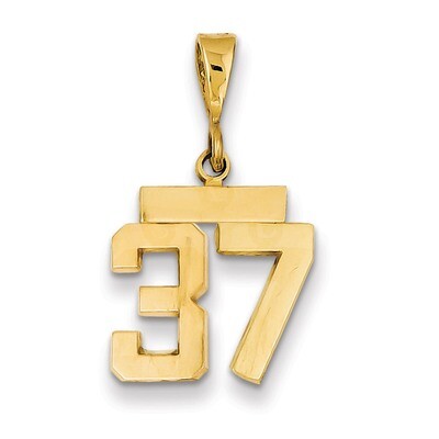 Number 37 Charm 14k Gold Small Polished SP37, MPN: SP37, 883957141107