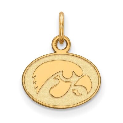 University of Iowa x-Small Pendant 10k Yellow Gold 1Y043UIA, MPN: 1Y043UIA, 886774817224