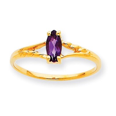 Polished Geniune Amethyst Birthstone Ring 10k Gold 10XBR179, MPN: 10XBR179, 191101091414