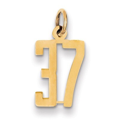 Number 37 Charm 14k Gold Small Polished Elongated LES37, MPN: LES37, 883957218977