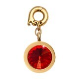 Nikki Lissoni January Charm with A Garnet Swarovski Stone Gold-Plated 15mm D1164GS, MPN: D1164GS, 8…