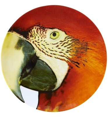Vista Alegre Olhar O Brasil Charger Plate Red Macaw, MPN: 21119994,