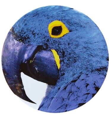Vista Alegre Olhar O Brasil Charger Plate Blue Macau, MPN: 21119992,