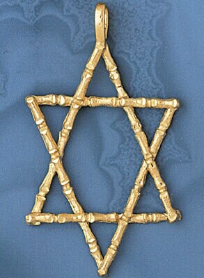 Dazzlers Jewelry Star of David Pendant Necklace Charm Bracelet in Yellow, White or Rose Gold 9161, …