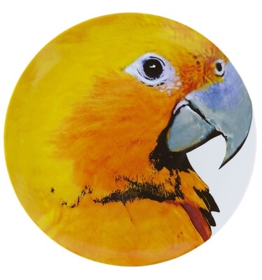 Vista Alegre Olhar O Brasil Charger Plate Guaruba, MPN: 21119995,