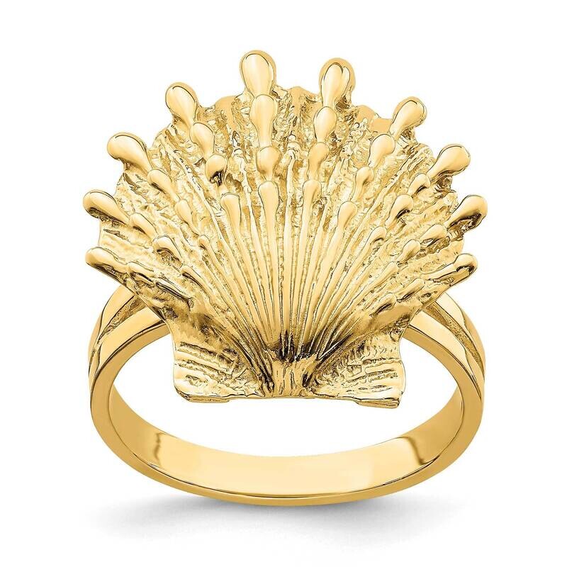 Lion&#39;S Paw Shell Ring 14k Gold R679, MPN: R679, 637218124220