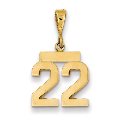 Number 22 Charm 14k Gold Small Polished SP22, MPN: SP22, 883957140834