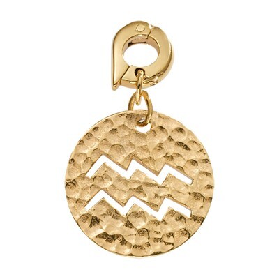 Nikki Lissoni Aquarius Charm Gold-Plated 20mm D1010GM, MPN: D1010GM, 8718819232186