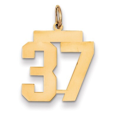 Number 37 Charm 14k Gold Medium Polished LM37, MPN: LM37, 883957133133