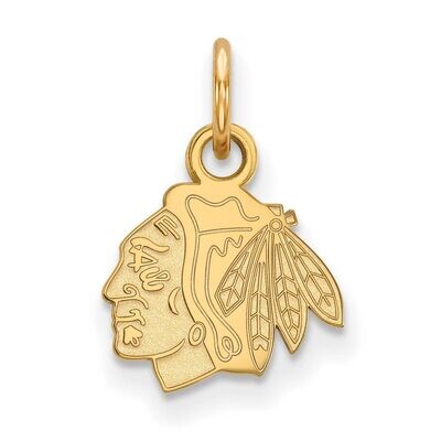 Chicago Blackhawks x-Small Pendant 14k Yellow Gold 4Y001BLA, MPN: 4Y001BLA, 886774855400