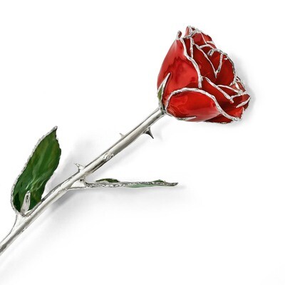 Lacquer Dipped Silver Trimmed Red Rose GM16743, MPN: GM16743, 812465021304
