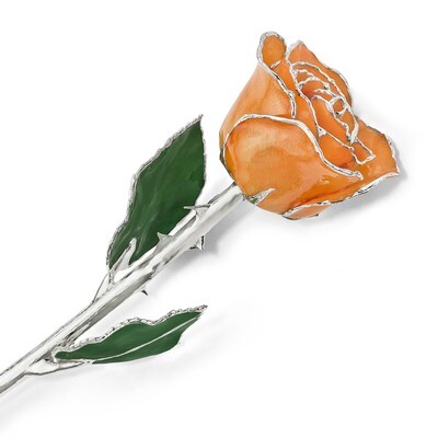 Lacquer Dipped Silver Trim Orange Rose GM16754, MPN: GM16754, 812465021526