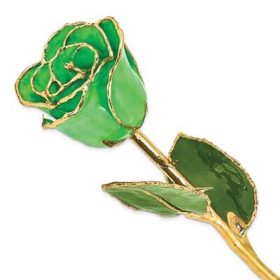 Geo Green Rose Lacquer Dipped Gold Trim GM22723, MPN: GM22723, 812465023438
