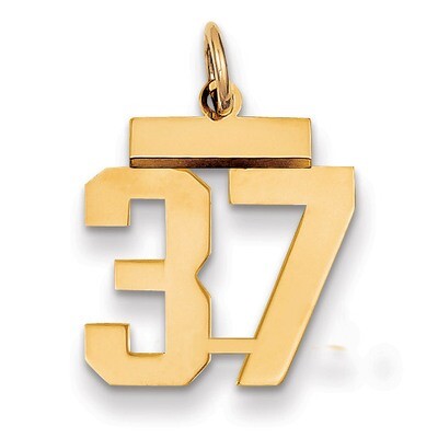 Number 37 Charm 14k Gold Small Polished LS37, MPN: LS37, 883957033563