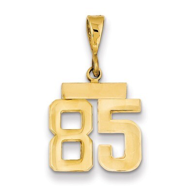 Number 85 Charm 14k Gold Small Polished SP85, MPN: SP85, 883957144849