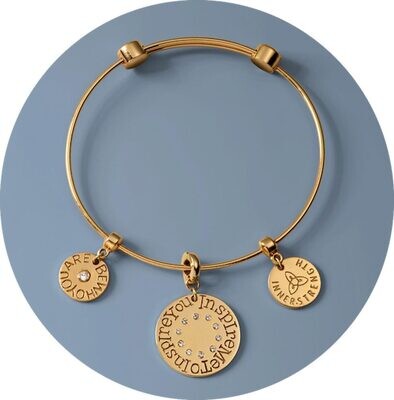 Nikki Lissoni 25 mm Charm On 17 cm Length Charm Bangle with Deluxe Gift Box Bag &amp; Pouch SB1001, MPN…