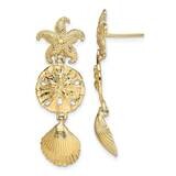 Starfish Shell Sand Dollar Dangle Earrings 14k Gold Diamond-cut TE847, MPN: TE847, 637218079469