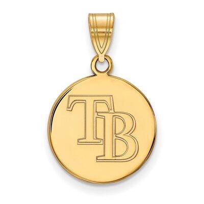 Tampa Bay Rays Medium Disc Pendant Gold-plated Silver GP010DEV, MPN: GP010DEV, 886774910741