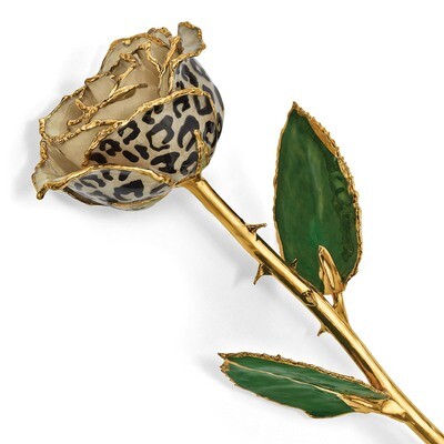 Lacquer Dipped 24k Gold Trim Cream Black Leopard Rose GM13080, MPN: GM13080, 812465020468