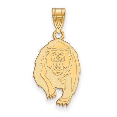 University of California Berkeley Large Pendant 10k Yellow Gold 1Y027UCB, MPN: 1Y027UCB, 8867748141…