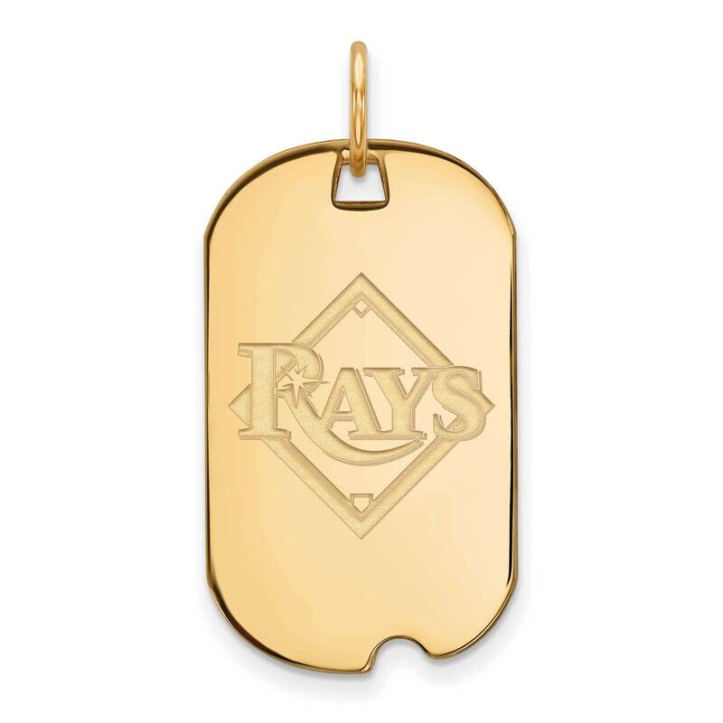 MLB Tampa Bay Rays Small Dog Tag Gold-plated Sterling Silver GP026DEV