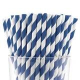 Pack of 150 Navy Wide Stripe Bio-degradable Paper Straws GM22629, MPN: GM22629, 788089151201