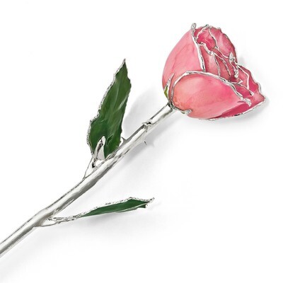 Lacquer Dipped Silver Trimmed Pink Rose GM16742, MPN: GM16742, 812465021427